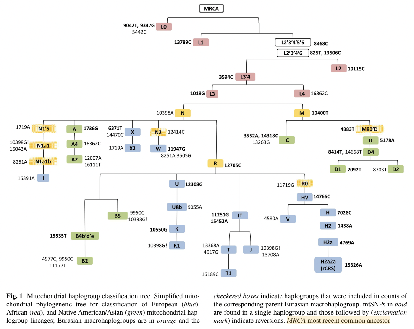 Human mitochondrial haplogroups in samples from the USA reported by Mitchell et al., 2014.