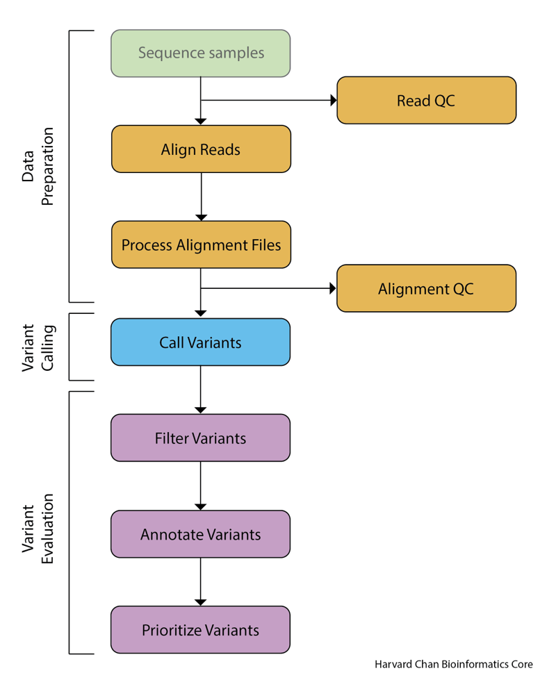 A variant call pipeline schematic. This figure is from the Harvard Chen Bioinformatics Core